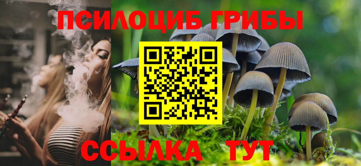 Галлюциногенные грибы Magic Shrooms Канаш