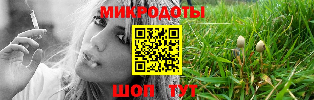 Канаш  Псилоцибиновые грибы Cubensis  Вход с VPN  Галлюциногенные грибы Psilocybe 