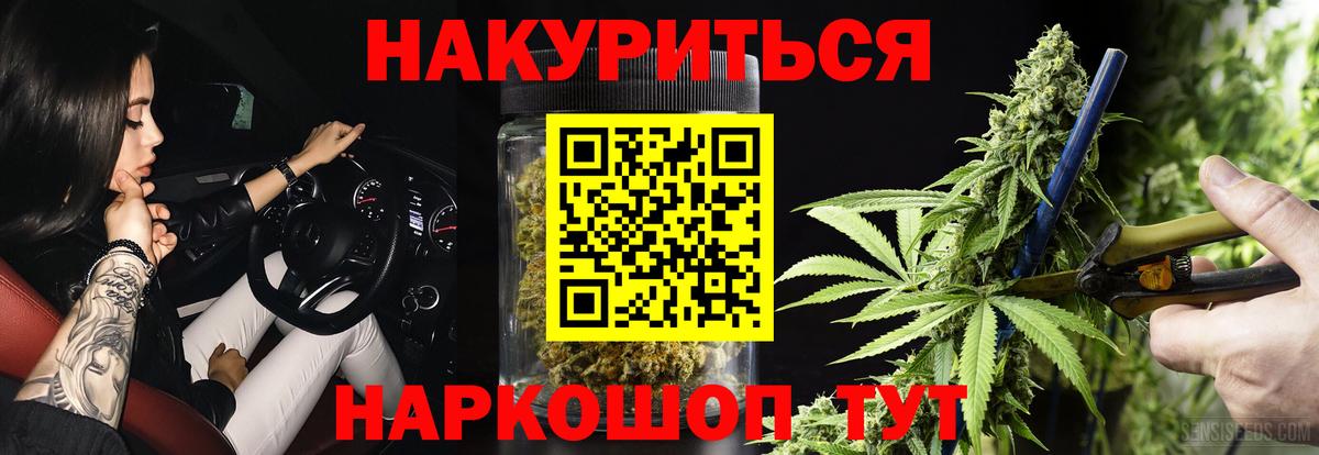 Конопля марихуана Канаш